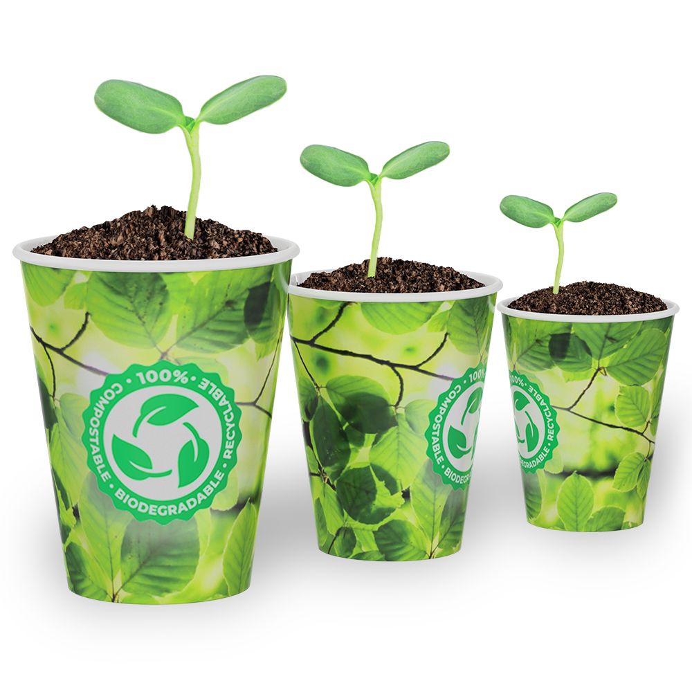 Biodegradable Paper Cups