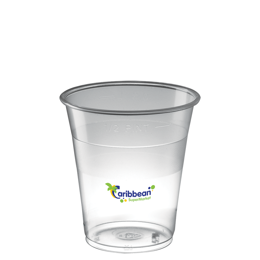 Disposable Plastic Tumbler (300ml/10oz) Promo Catering