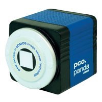 custom stress sensor